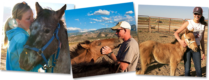 Volunteers for Horse Recue in Utah